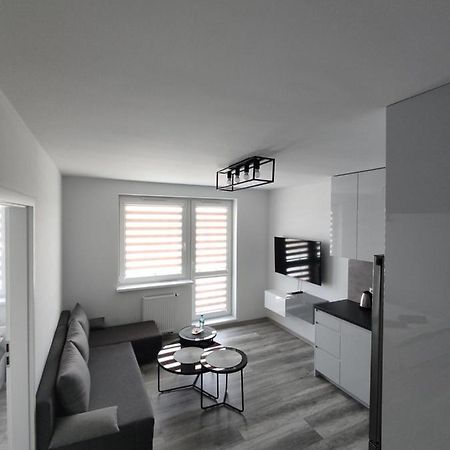 Apartmán N° 59 Płock Exteriér fotografie